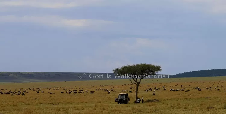 The Ngorongoro Crater