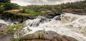 Murchison falls national park
