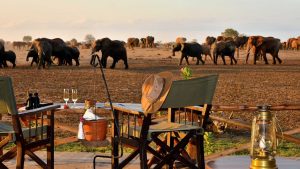 Kenya Tours