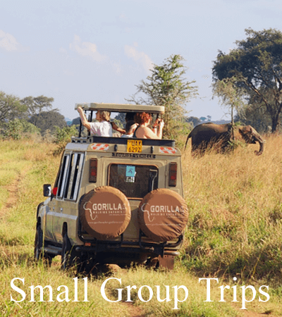 Africa Safari Tours