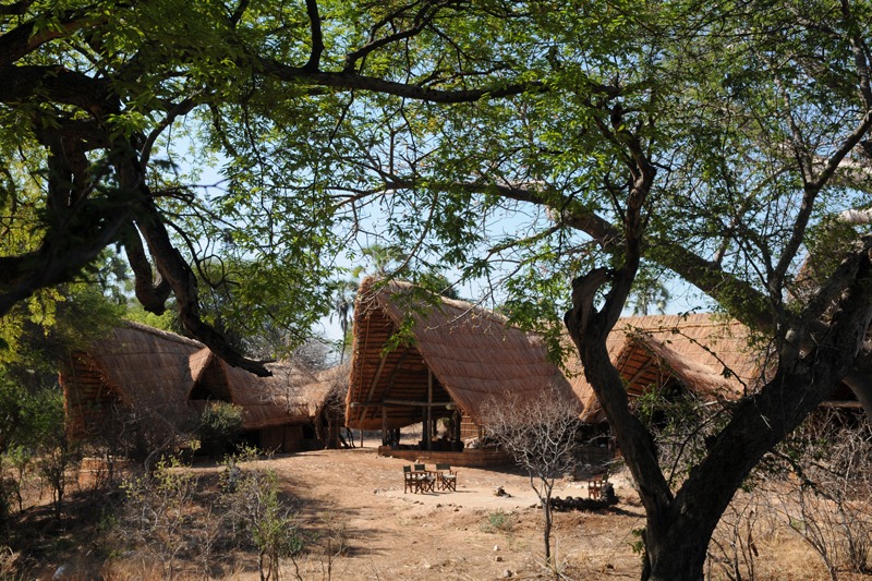 mwagusi safari camp