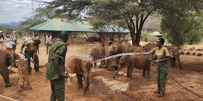 Sarara Camp Foundation