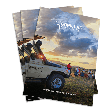 GORILLA WALKING SAFARIS