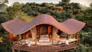 Luxury Accommodation In Bwindi Forest Uganda