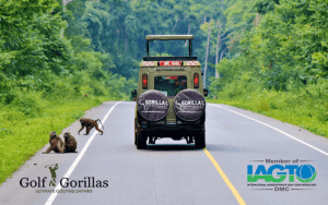 Association Of International Golf Tour Operators