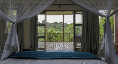 Turaco Tree Tops Lodge kibale