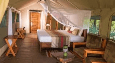 Twiga safari Lodge
